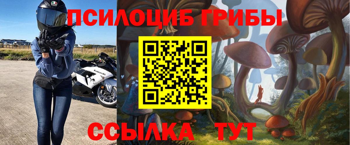 Псилоцибиновые грибы ЛСД  Вход с VPN  Каменка  Галлюциногенные грибы прущие грибы 
